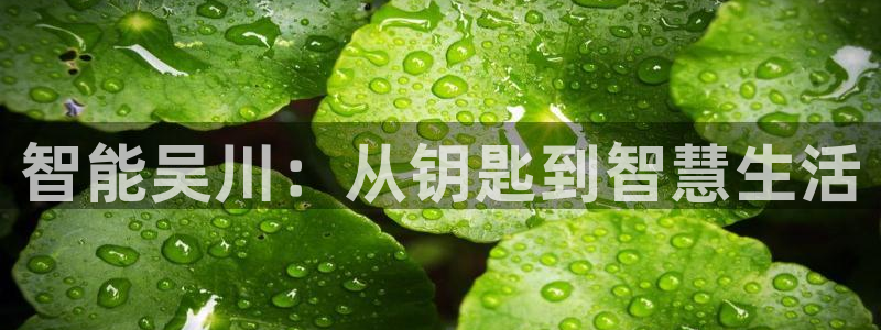 开丰娱乐登入地址在哪查：智能吴川：从钥匙到智慧生活