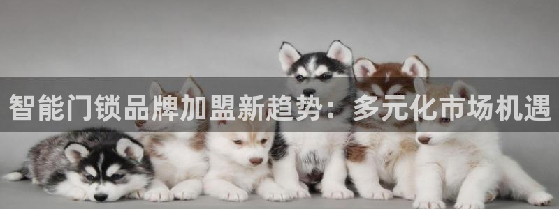 开丰娱乐下7O667：智能门锁品牌加盟新趋势：多元化市场机遇