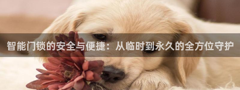 开丰娱乐怎么开转点：智能门锁的安全与便捷：从临时到永久的全方