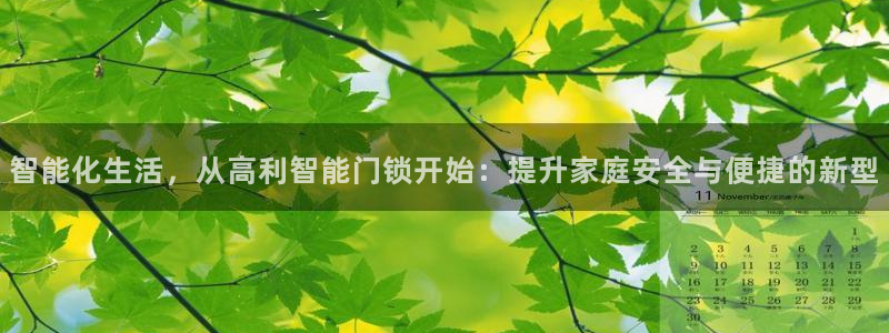 开丰娱乐巾67五壹叁八：智能化生活，从高利智能门锁开始：提升