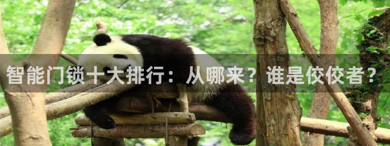 开丰娱乐平台地址电话：智能门锁十大排行：从哪来？谁是佼佼者？