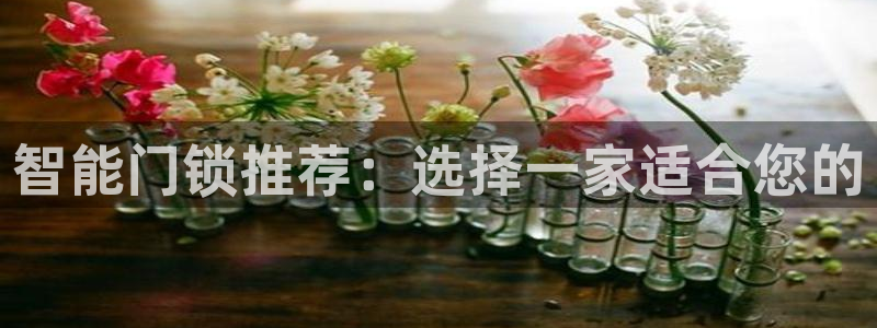 开丰娱乐平台地址查询：智能门锁推荐：选择一家适合您的