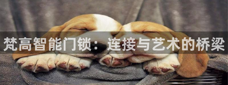 开丰娱乐上7O667：梵高智能门锁：连接与艺术的桥梁
