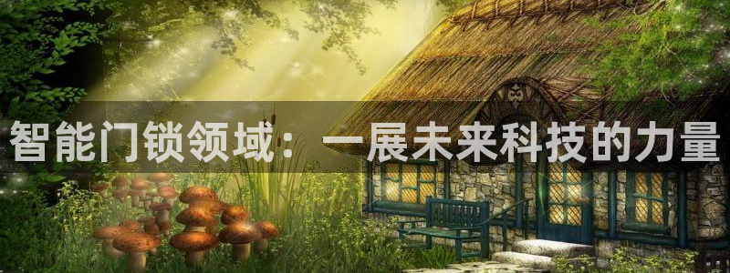 开丰娱乐地址：智能门锁领域：一展未来科技的力量