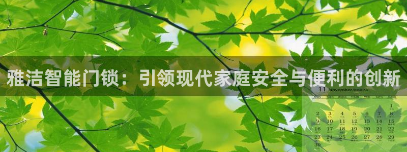 开丰娱乐平台地址：雅洁智能门锁：引领现代家庭安全与便利的创新