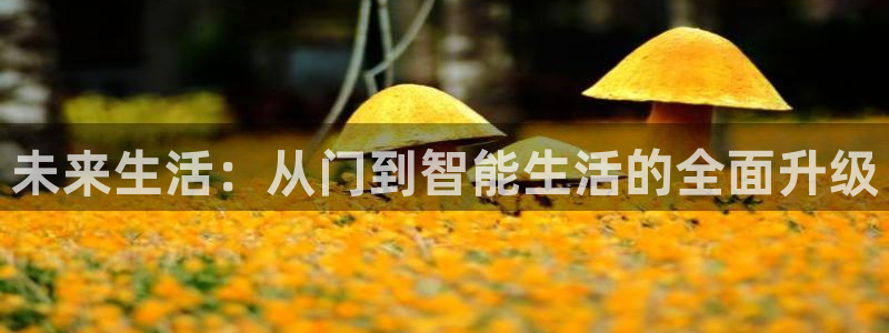 开丰娱乐测速：未来生活：从门到智能生活的全面升级