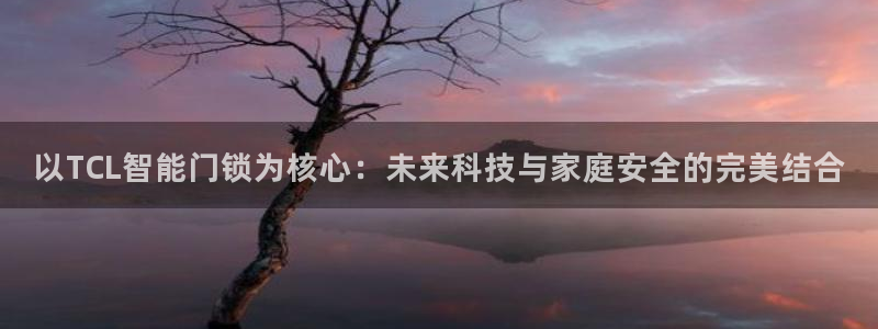 开丰娱乐登陆：以TCL智能门锁为核心：未来科技与家庭安全的完