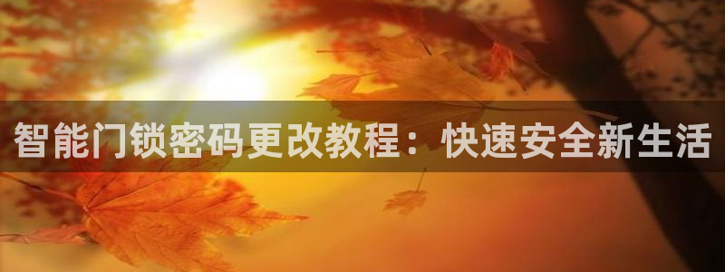 开丰娱乐天：智能门锁密码更改教程：快速安全新生活
