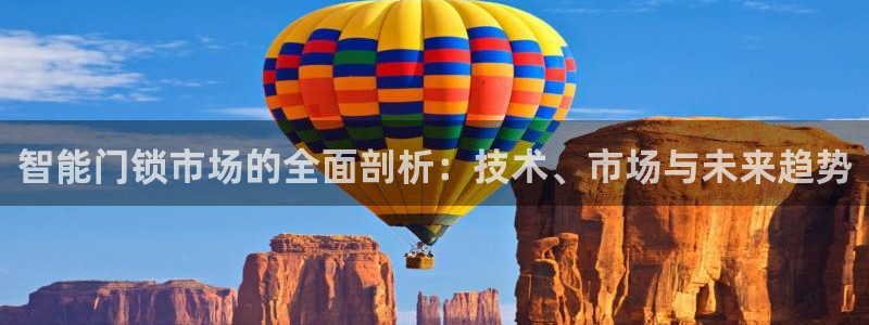 开丰娱乐网站官网：智能门锁市场的全面剖析：技术、市场与未来趋