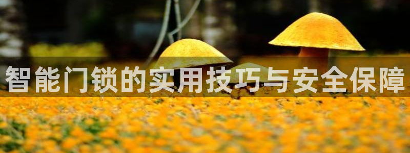 开丰娱乐月7O667：智能门锁的实用技巧与安全保障