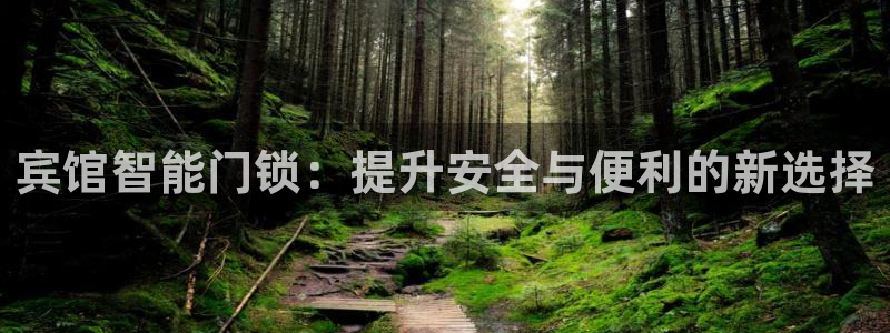 开丰娱乐日7O667：宾馆智能门锁：提升安全与便利的新选择