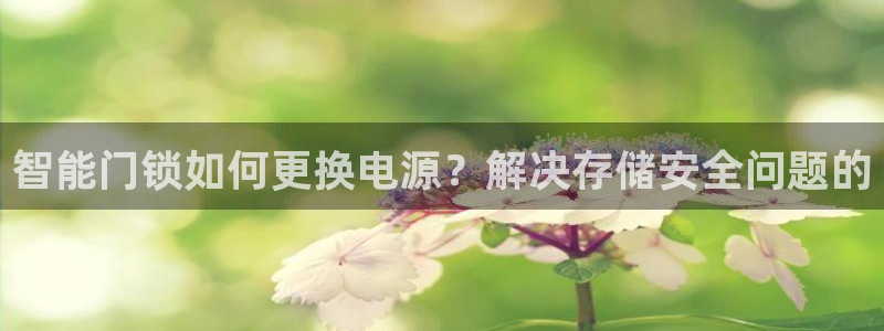 开丰娱乐千67五壹叁八：智能门锁如何更换电源？解决存储安全问