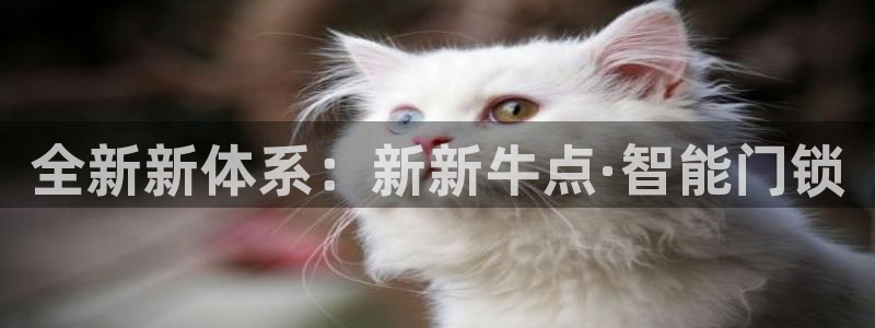 开丰娱乐若七九九：全新新体系：新新牛点·智能门锁