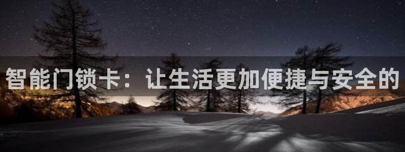 开丰娱乐月：智能门锁卡：让生活更加便捷与安全的