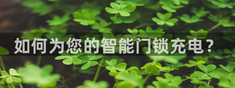 开丰娱乐日7O667：如何为您的智能门锁充电？