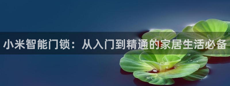 开丰娱乐左7O667：小米智能门锁：从入门到精通的家居生活必