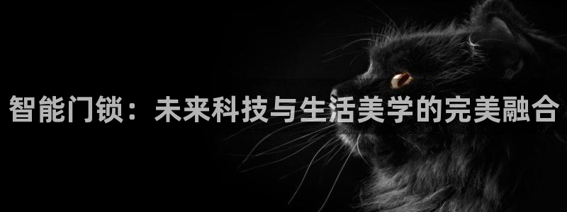 开丰娱乐登入地址查询：智能门锁：未来科技与生活美学的完美融合