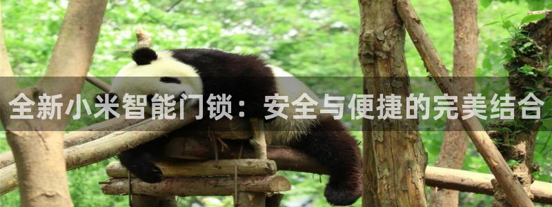开丰娱乐后：全新小米智能门锁：安全与便捷的完美结合