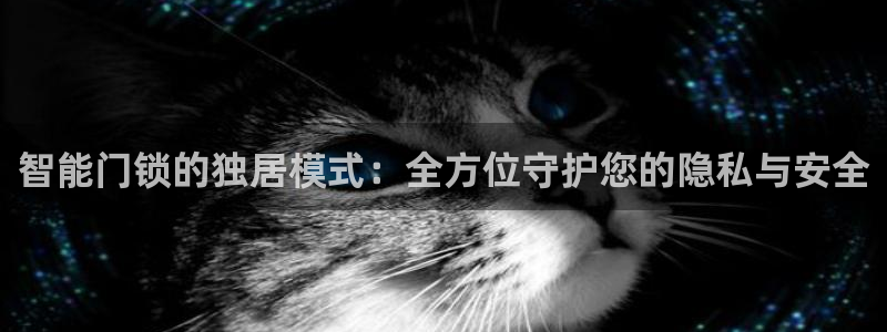 开丰娱乐app：智能门锁的独居模式：全方位守护您的隐私与安全