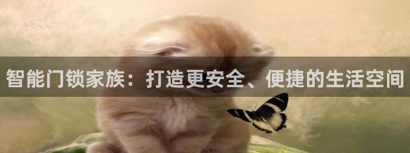 开丰娱乐2登录:智能门锁家族:打造更安全、便捷的生活空间