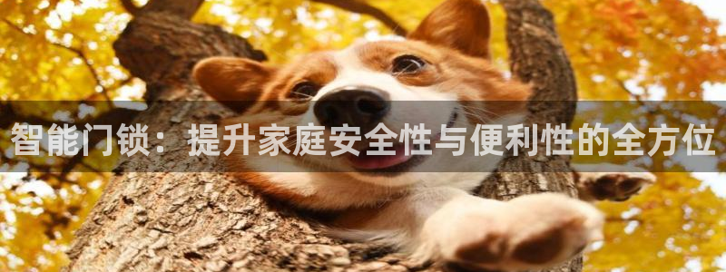 开丰娱乐千67五壹叁八：智能门锁：提升家庭安全性与便利性的全