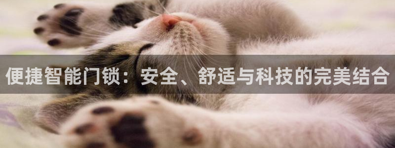 开丰娱乐行业恢复时间：便捷智能门锁：安全、舒适与科技的完美结
