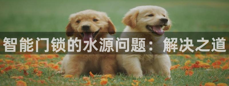 开丰娱乐网站：智能门锁的水源问题：解决之道