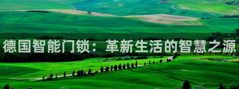 开丰娱乐会员中心：德国智能门锁：革新生活的智慧之源