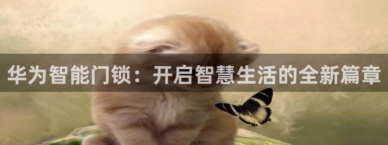 开丰娱乐官网最新消息：华为智能门锁：开启智慧生活的全新篇章