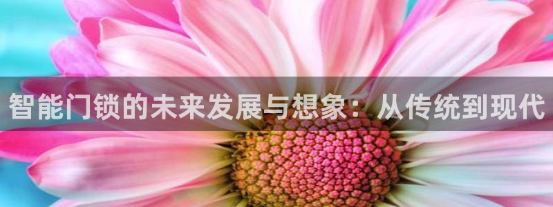 开丰娱乐主管家去判官333OO：智能门锁的未来发展与想象：从