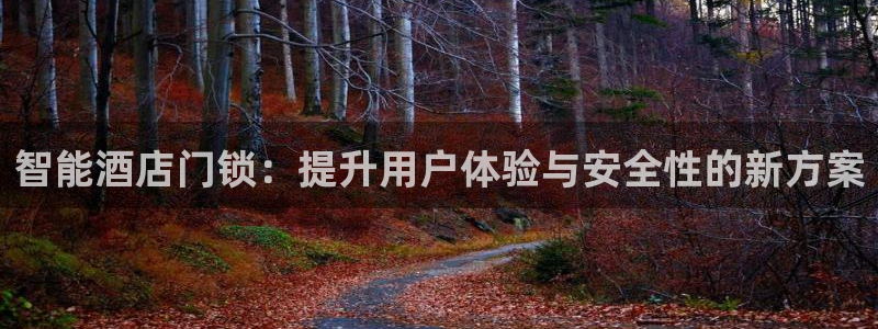 开丰娱乐寸67五壹叁八：智能酒店门锁：提升用户体验与安全性的