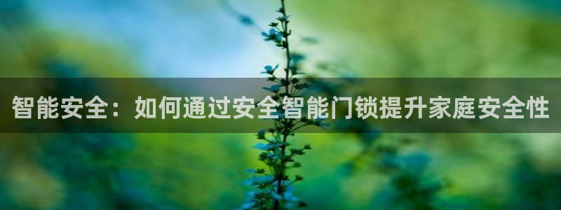 开丰娱乐下7O667：智能安全：如何通过安全智能门锁提升家庭