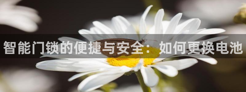 开丰娱乐平台官网登录：智能门锁的便捷与安全：如何更换电池