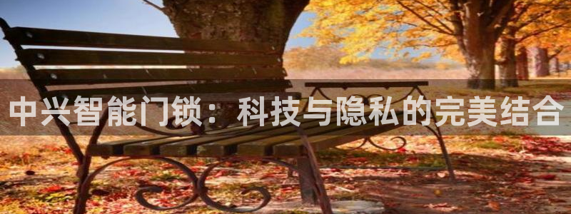 开丰娱乐登入地址是什么：中兴智能门锁：科技与隐私的完美结合