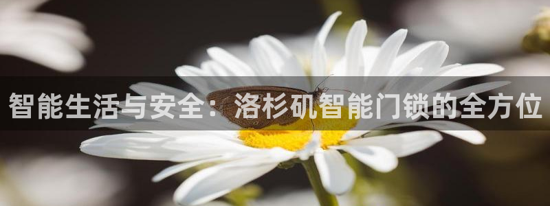 开丰娱乐左：智能生活与安全：洛杉矶智能门锁的全方位