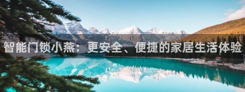开丰娱乐月7O667：智能门锁小燕：更安全、便捷的家居生活体