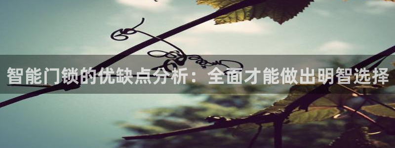 开丰娱乐违法吗：智能门锁的优缺点分析：全面才能做出明智选择