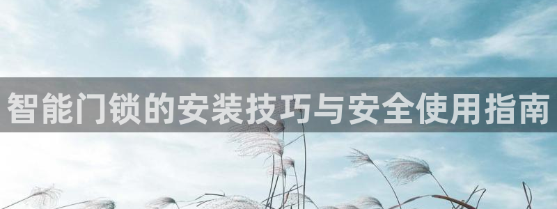 开丰娱乐优七九九47:智能门锁的安装技巧与安全使用指南