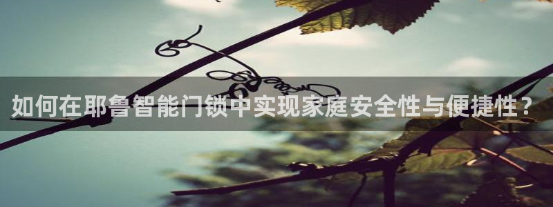 开丰娱乐登入地址在哪儿：如何在耶鲁智能门锁中实现家庭安全性与