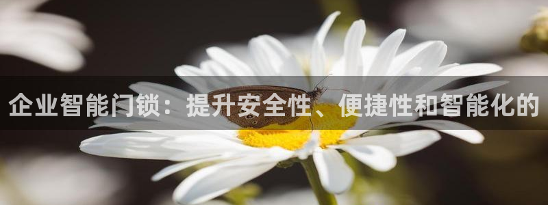 开丰娱乐登入地址在哪儿：企业智能门锁：提升安全性、便捷性和智