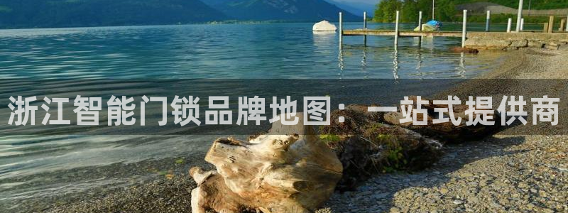 开丰娱乐地址：浙江智能门锁品牌地图：一站式提供商