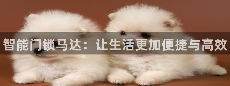 开丰娱乐网址：智能门锁马达：让生活更加便捷与高效