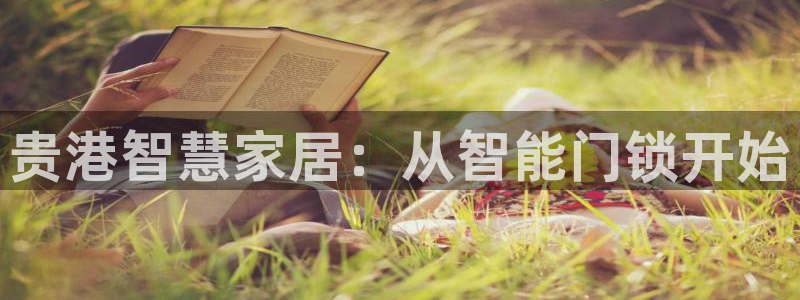 开丰娱乐主管：贵港智慧家居：从智能门锁开始