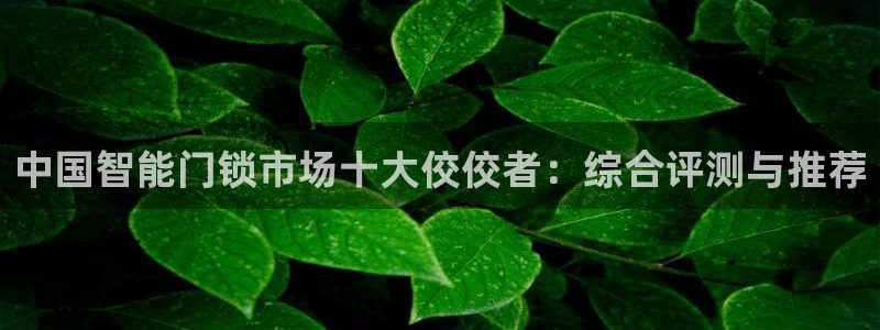 开丰娱乐平台官网登录：中国智能门锁市场十大佼佼者：综合评测与
