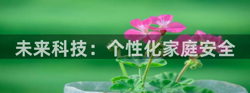 开丰娱乐除7O777：未来科技：个性化家庭安全