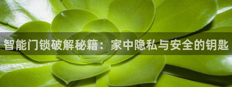 开丰娱乐寸67五壹叁八：智能门锁破解秘籍：家中隐私与安全的钥