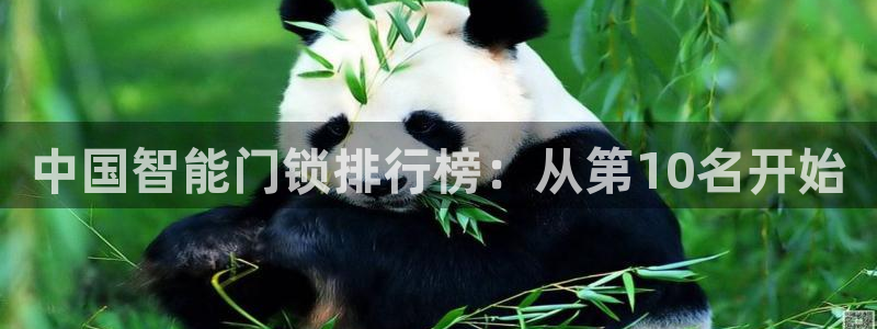 开丰娱乐注册资金多少：中国智能门锁排行榜：从第10名开始