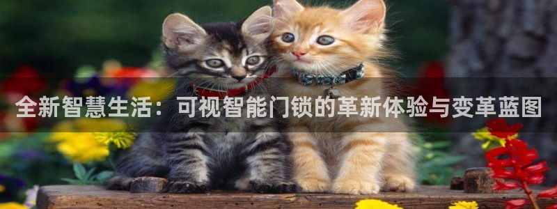 开丰娱乐官网