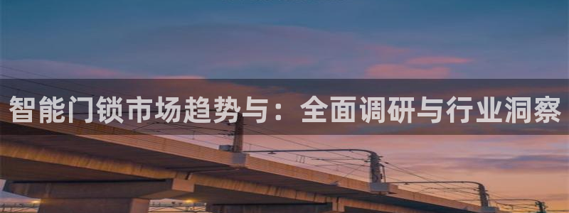 开丰娱乐注册登录不了：智能门锁市场趋势与：全面调研与行业洞察