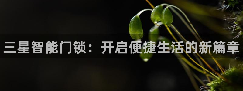 开丰娱乐违法吗：三星智能门锁：开启便捷生活的新篇章
